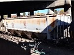 AEX 13043
